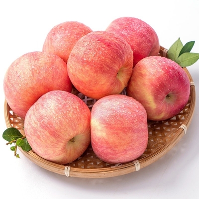 Madurez del 90% Manzana de Fuji fresca Mejor y más común Tipo de cultivo