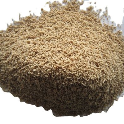 calidad  1 kg HOT Dried Soup 500g*2/1Kg Hondashi Seasoning in Philippines fábrica