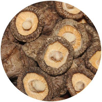 calidad  Brown Lions Mane Mushroom Extract Dried Shiitake Mushroom 1kg/bag fábrica