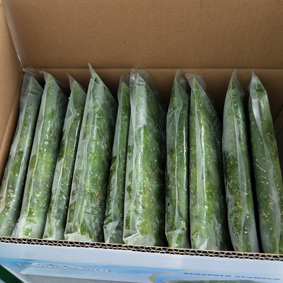 Rebozos de algas congeladas de Shandong para condimentos de ensalada agria y dulce 1 año de vida útil