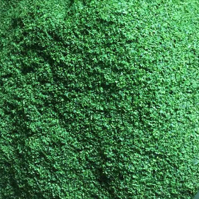 Alga marina seca lavanda verde Aonori Ulva Lactuca en polvo elevar su juego de horneado o sopa