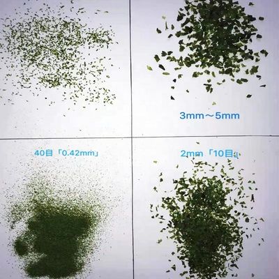 Comidas ricas en fibra algas marinas secas lavanda verde Aonori Ulva Lactuca en polvo horneado o sopa