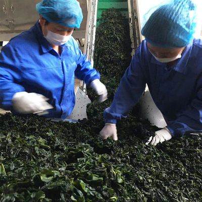 3cm de longitud verduras deshidratadas secas lavandería Wakame para comida rápida 20Kg envasado a granel