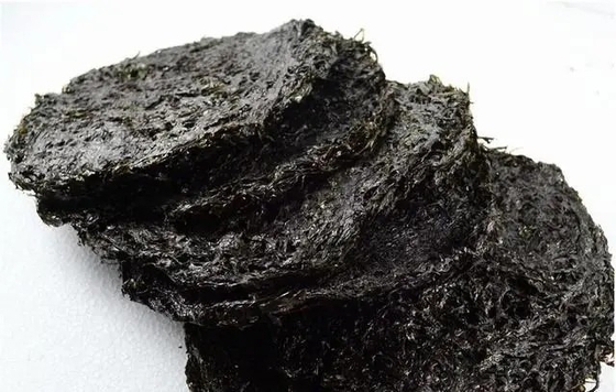 El secreto mejor guardado de la variedad Laver Porphyra Haitanensis ALGA MARINA para ingredientes de cocina