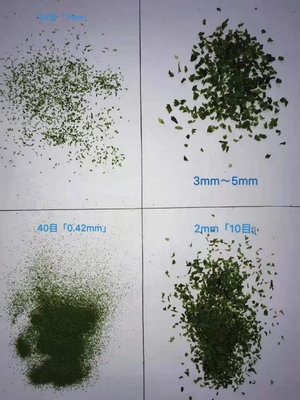 Obtenga los flocos de algas marinas secas Aonori para su comida de sushi Un ingrediente imprescindible