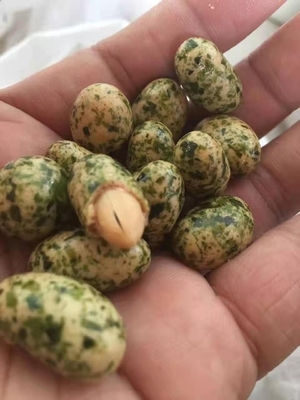 Hojas verdes para irresistibles bocadillos de algas filipinas