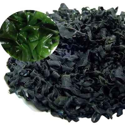 Ingredientes normales Variedad de lavandería Alga seca cortada Wakame para el mercado chino de mariscos
