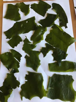 Ingredientes normales Variedad de lavandería Alga seca cortada Wakame para el mercado chino de mariscos