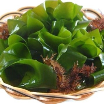Tipo de almacenamiento Normal 500g Chuka Wakame Alga seca cortada Wakame
