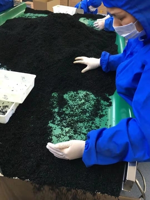 Suministro de comida sabrosa Chuka algas secas Wakame adecuado para la experiencia gourmet normal
