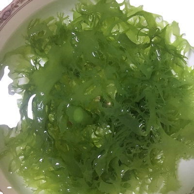 Algas marinas congeladas Tosaka en estilo rojo verde con sabor condimentado