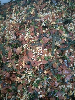 Mezcla de sésamo de algas marinas secas de Nori Furikake Bonito Condimento en polvo Nori Komi Estilo normal