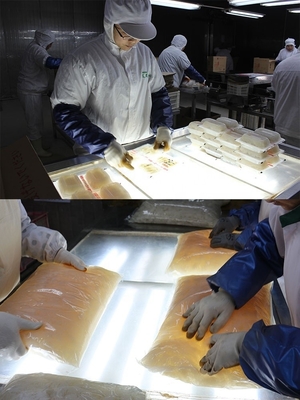 Noodles de secado de malla de plástico blanco con 12 meses de vida útil y Noodles de agua normal