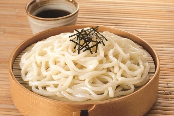 FROZEN Udon con trigo sarraceno estilo tradicional japonés