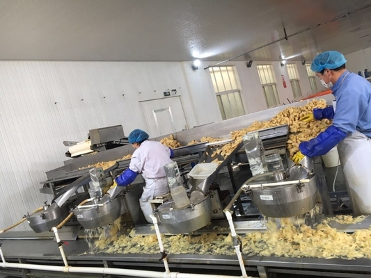 Proceso de vinagre Sushi japones blanco rosa en escabeche Jengibre para cultivo al aire libre Tipo