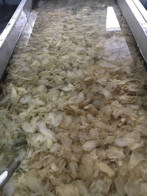 Proceso de vinagre Sushi japones blanco rosa en escabeche Jengibre para cultivo al aire libre Tipo
