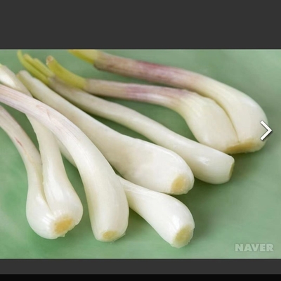 Condimento en vinagre China cebolla bulbosa Rakkyo Almacenamiento NORMAL CONDICIONAL sabor picante
