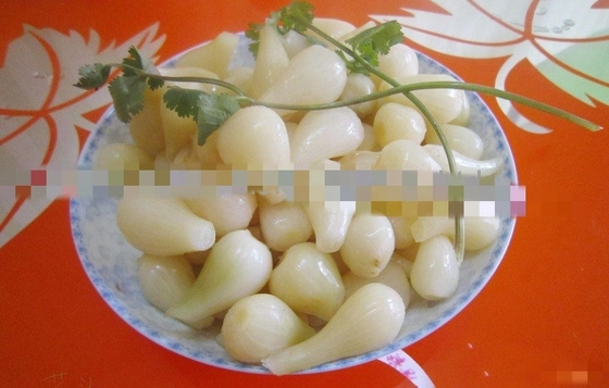 Condimento en vinagre China cebolla bulbosa Rakkyo Almacenamiento NORMAL CONDICIONAL sabor picante