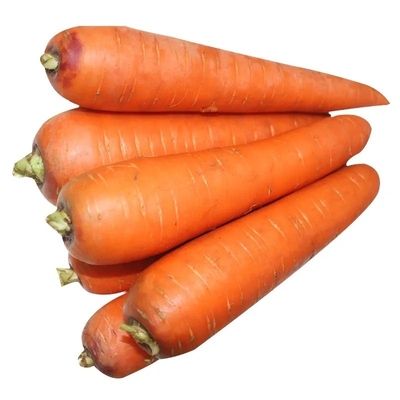 4 KG Zanahorias naturales Verduras frescas