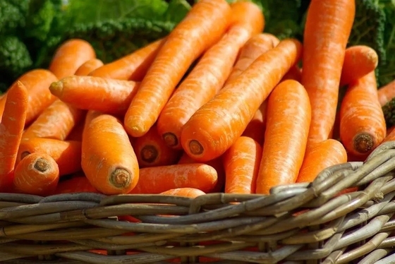 4 KG Zanahorias naturales Verduras frescas