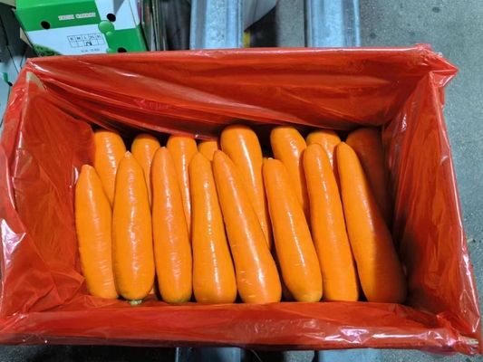 4 KG Zanahorias naturales Verduras frescas
