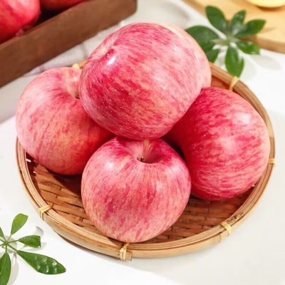 Madurez del 90% Manzana de Fuji fresca Mejor y más común Tipo de cultivo