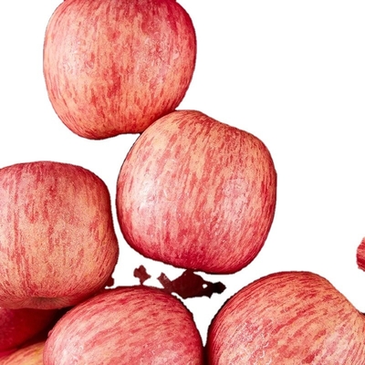 Madurez del 90% Manzana de Fuji fresca Mejor y más común Tipo de cultivo