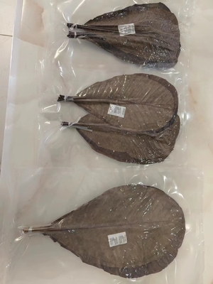 Servir sushi con envolturas de hojas de bambú frescas y naturales sin necesidad de dirección
