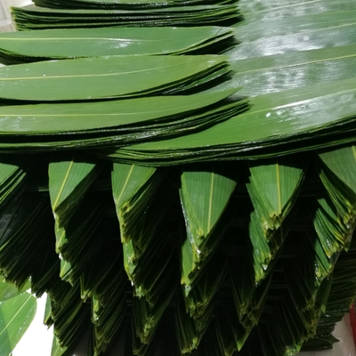 Servir sushi con envolturas de hojas de bambú frescas y naturales sin necesidad de dirección