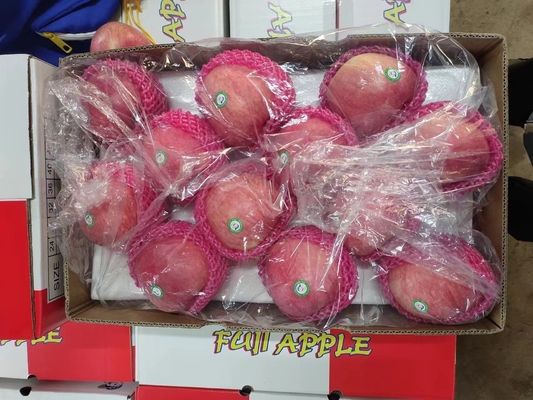 2024 Mejores Manzanas Fuji Verdes Producto fresco con 0,4 kg de peso