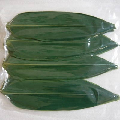 Hojas de bambú HOBA verde de la naturaleza El ingrediente esencial para servir sushi