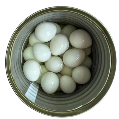 425g de huevos de codorniz enlatados cocidos para las necesidades del cliente de SHANDONG