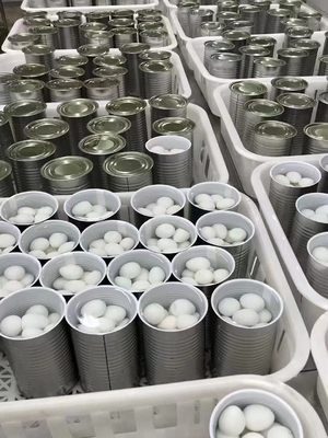 425g de huevos de codorniz enlatados cocidos para las necesidades del cliente de SHANDONG