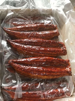 Piezas de anguila Unagi tostadas congeladas el ingrediente perfecto para sus recetas