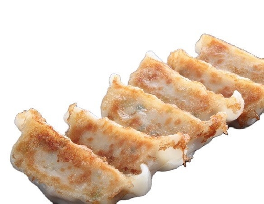 1 KG Pastel congelado Gyoza Camarón Pollo Pato Vegetales Gyoza Delicioso Sabor dulce