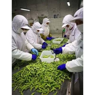 Frutos secos de Edamame a granel Tipo de almacenamiento 10 kg de peso congelados