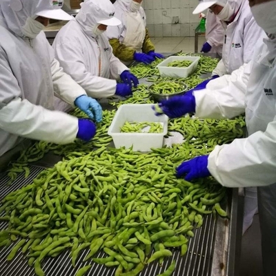 Certificado IQF Edamame congelado al vapor de grado A para bocadillos rápidos y fáciles