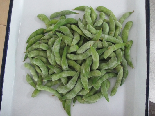 Certificado IQF Edamame congelado al vapor de grado A para bocadillos rápidos y fáciles