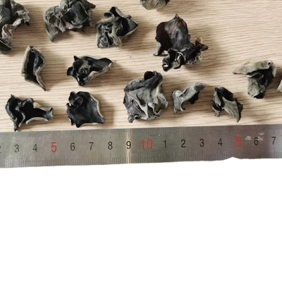 Tipos de almacenamiento de hongos negros secos cultivados para la medicina tradicional china