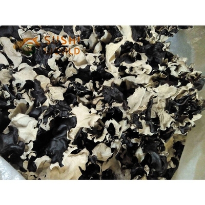 Tipo de almacenamiento seco en frío hongo negro seco orgánico a granel de 4-5 cm de la India y Marruecos