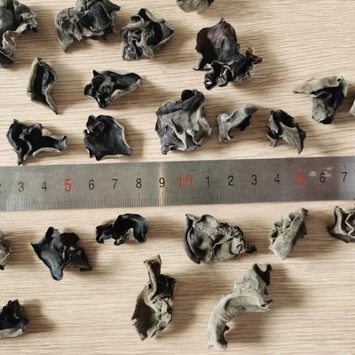 Tipo de almacenamiento seco en frío hongo negro seco orgánico a granel de 4-5 cm de la India y Marruecos