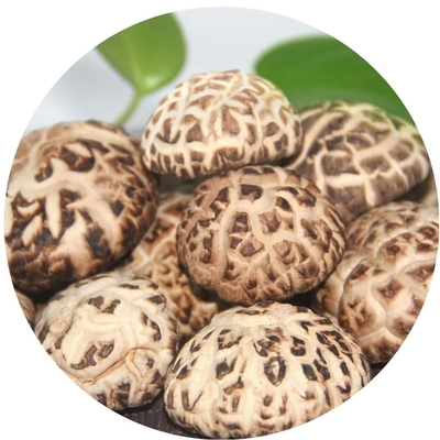 Extracto de hongo de mel de león marrón Hongo de shiitake seco 1 kg/bolsa