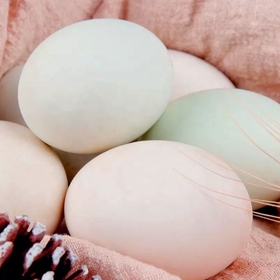 Dirección de Shandong Conservado huevo de pato huevo de siglo con ingredientes normales
