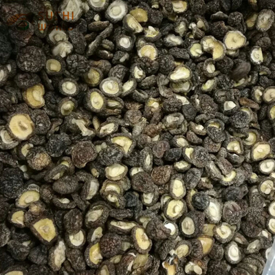 Húngos Champignon Shiitake en bulto Estebo para Shiitake Seco Húngos