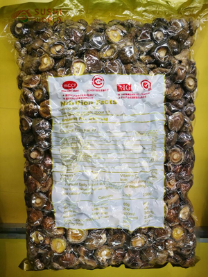 Húngos Champignon Shiitake en bulto Estebo para Shiitake Seco Húngos